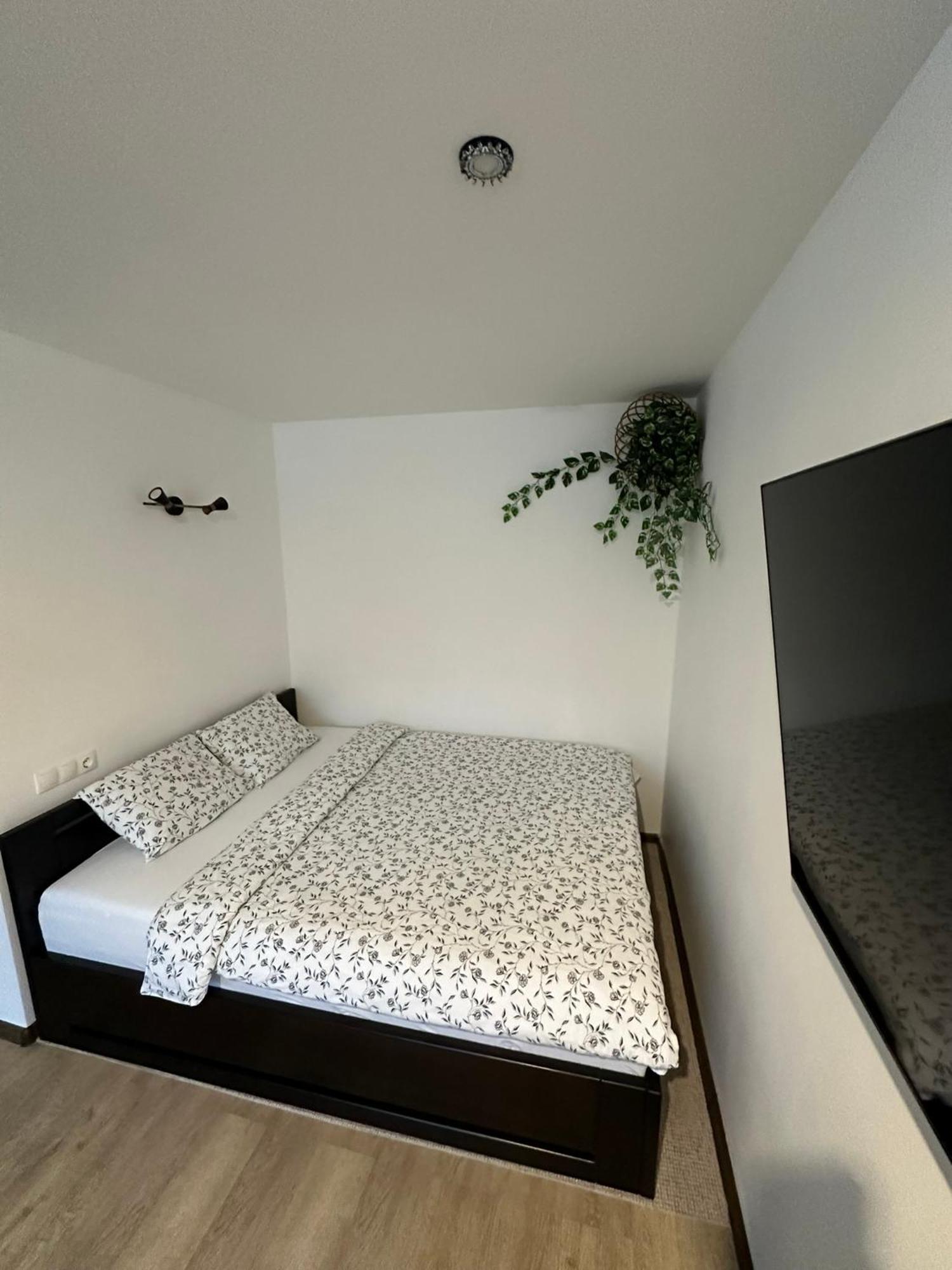 Studio Apartment วัลเมียรา ภายนอก รูปภาพ